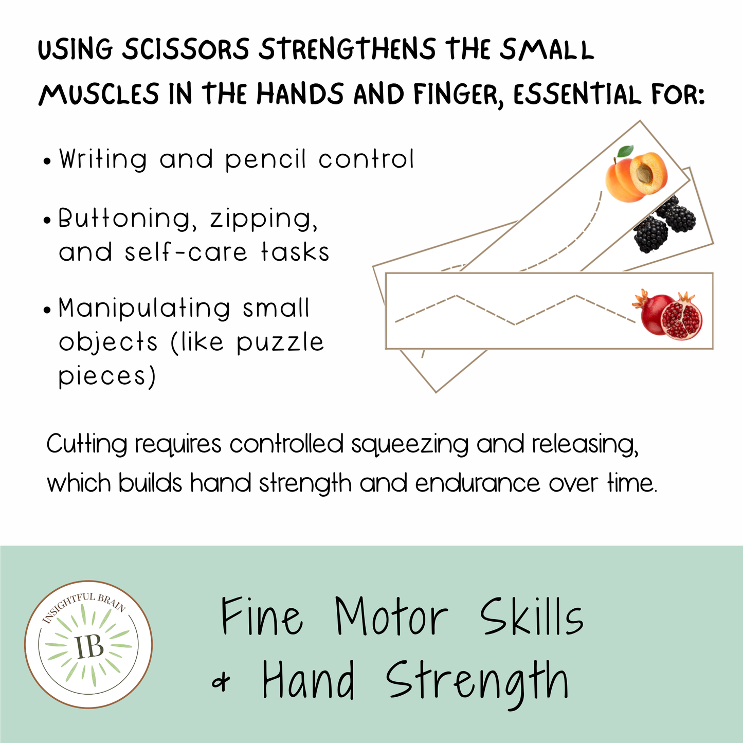 Montessori Scissor Work Printable | Preschool Cutting Practice | Homeschool Fine Motor Skills Activity | Toddler Cutting Strips