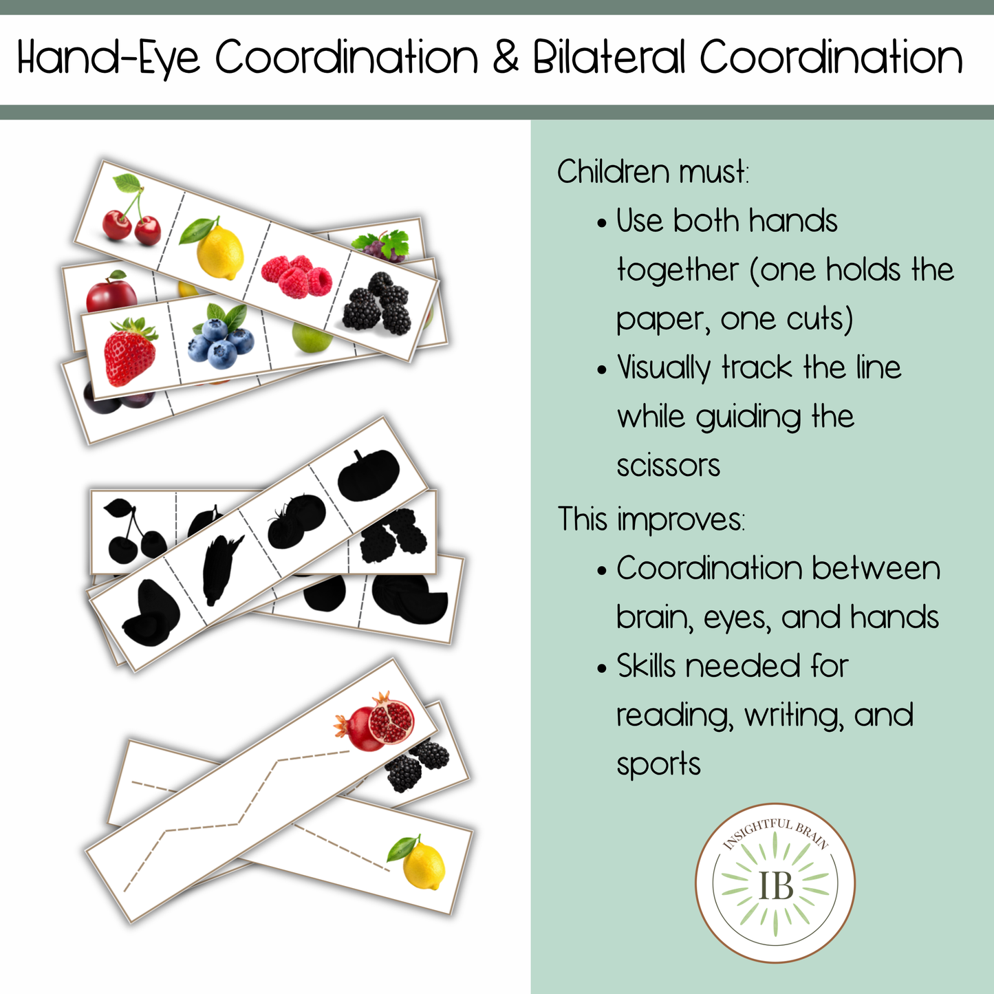 Montessori Scissor Work Printable | Preschool Cutting Practice | Homeschool Fine Motor Skills Activity | Toddler Cutting Strips