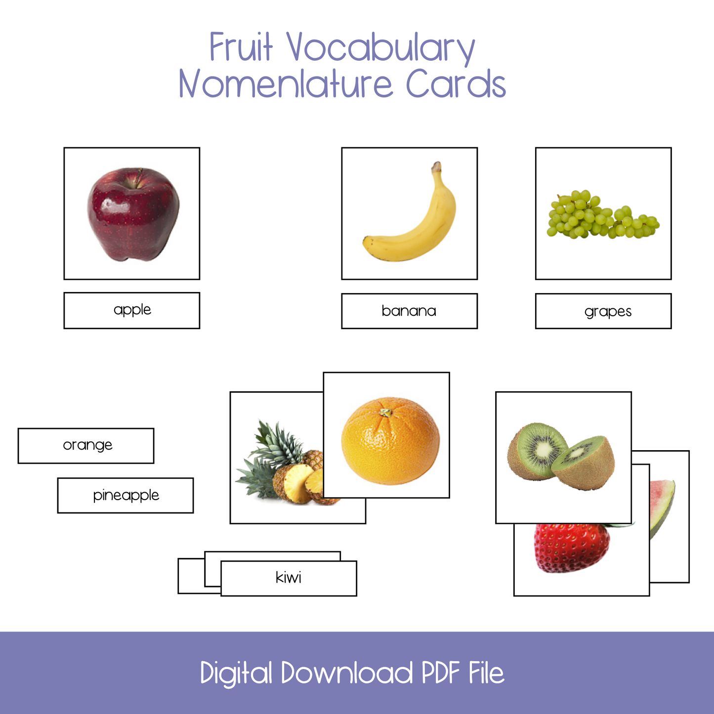 BUNDLE OFFER: Early Reading Vocabulary (6 Activities)