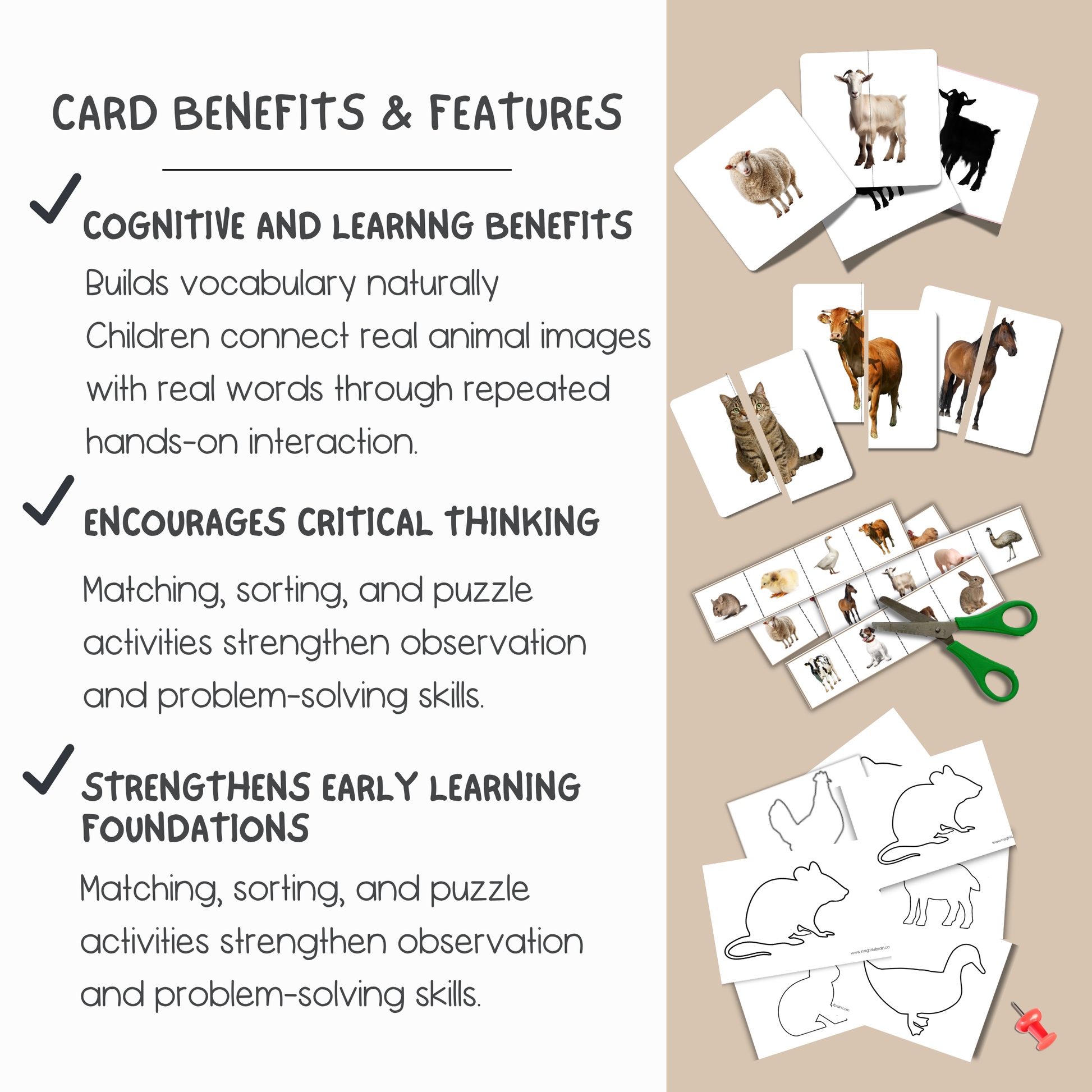 montessori preschool nomenclature card set