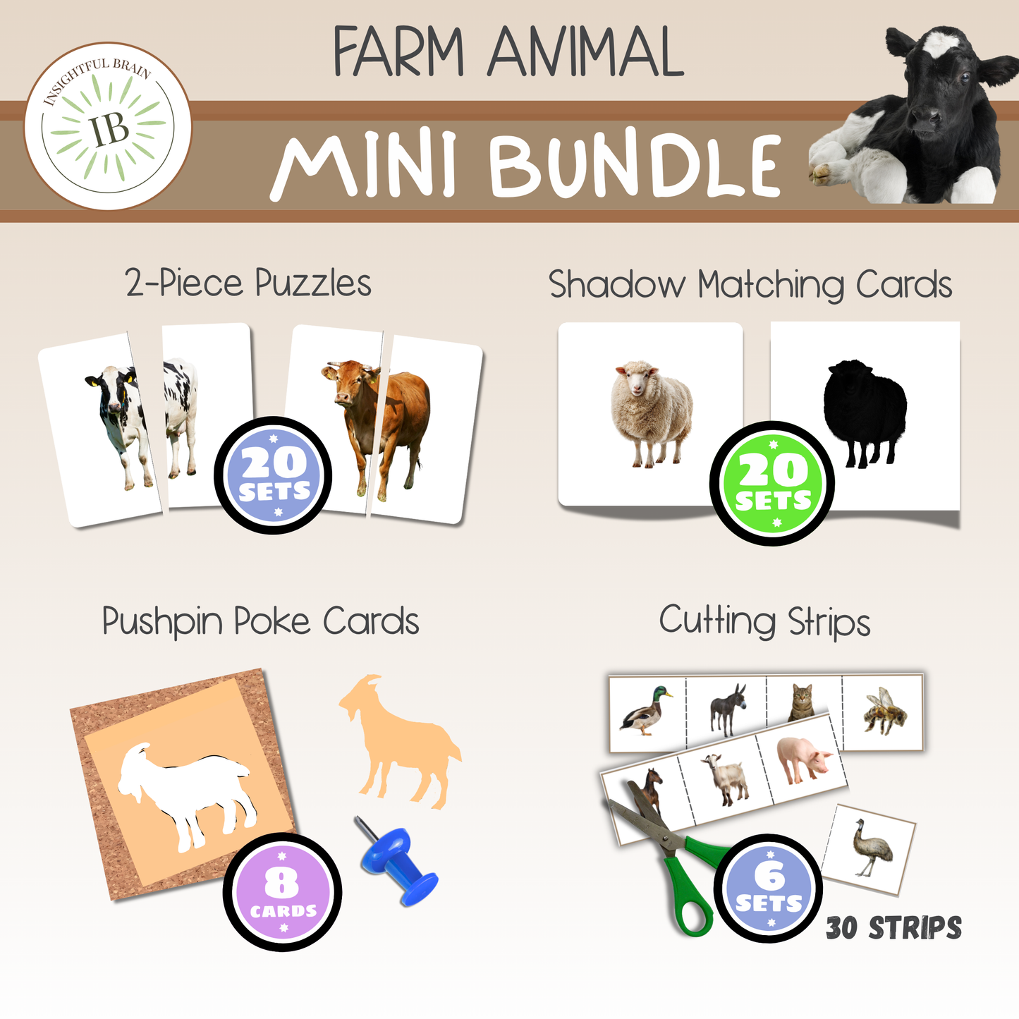 montessori nomenclature cards