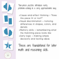 toddler shape puzzles, kindergarten shape puzzles