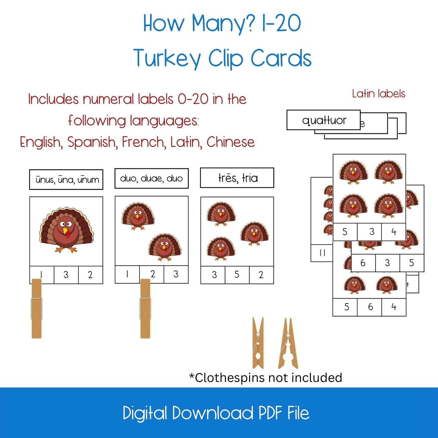 How Many? Counting 0-20 Turkeys Activity Set