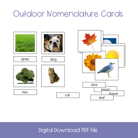 printable  science activities, montessori materials, montessori printables, major biomes activity, elementary science activities, 3-part cards, montessori 3-part cards, life cycle of a butterfly, kindergarten life science, outdoor vocabulary cards,printable  montessori nomenclature cards