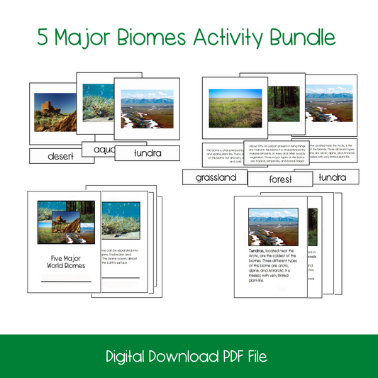 montessori science activities, montessori materials, montessori printables, major biomes activity, elementary science activities, 3-part cards, montessori 3-part cards, montessori nomenclature cards