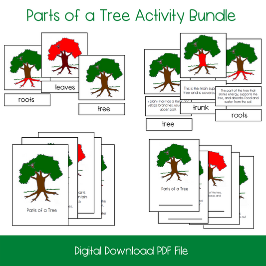 Printable Parts of a Tree Nomenclature and 3-Part Cards Activity Bundle, printable montessori nomenclature cards, printable montessori life science nomenclature cards, printable parts of a tree activity lesson, printable kindergarten life science vocabulary cards, printable ESL life science vocabulary cards, printable homeschool life science