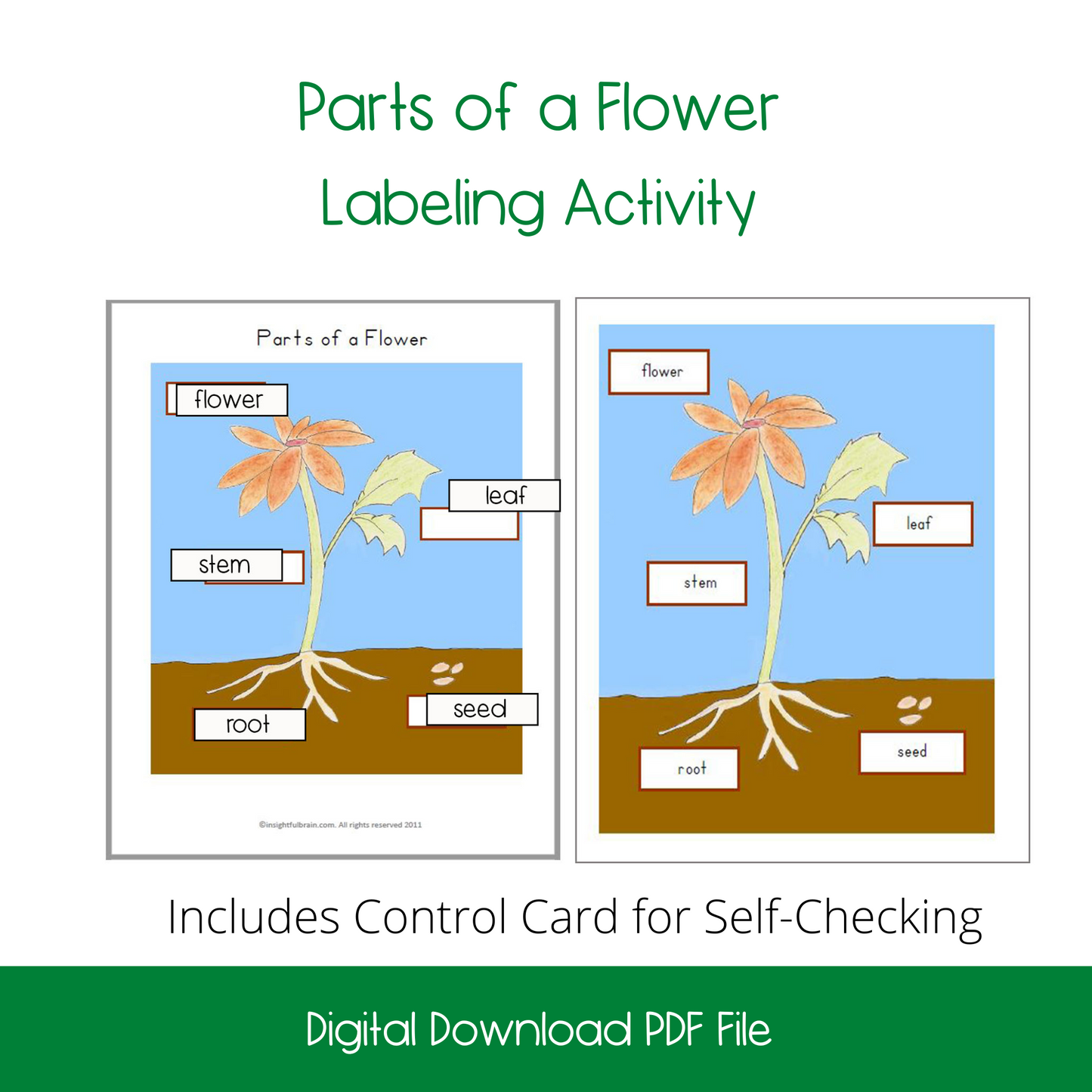 montessori science activities, montessori materials, montessori printables, major biomes activity, elementary science activities, 3-part cards, montessori 3-part cards, life cycle of a butterfly, kindergarten life science, parts of a flower, kindergarten flower activity, montessori nomenclature cards