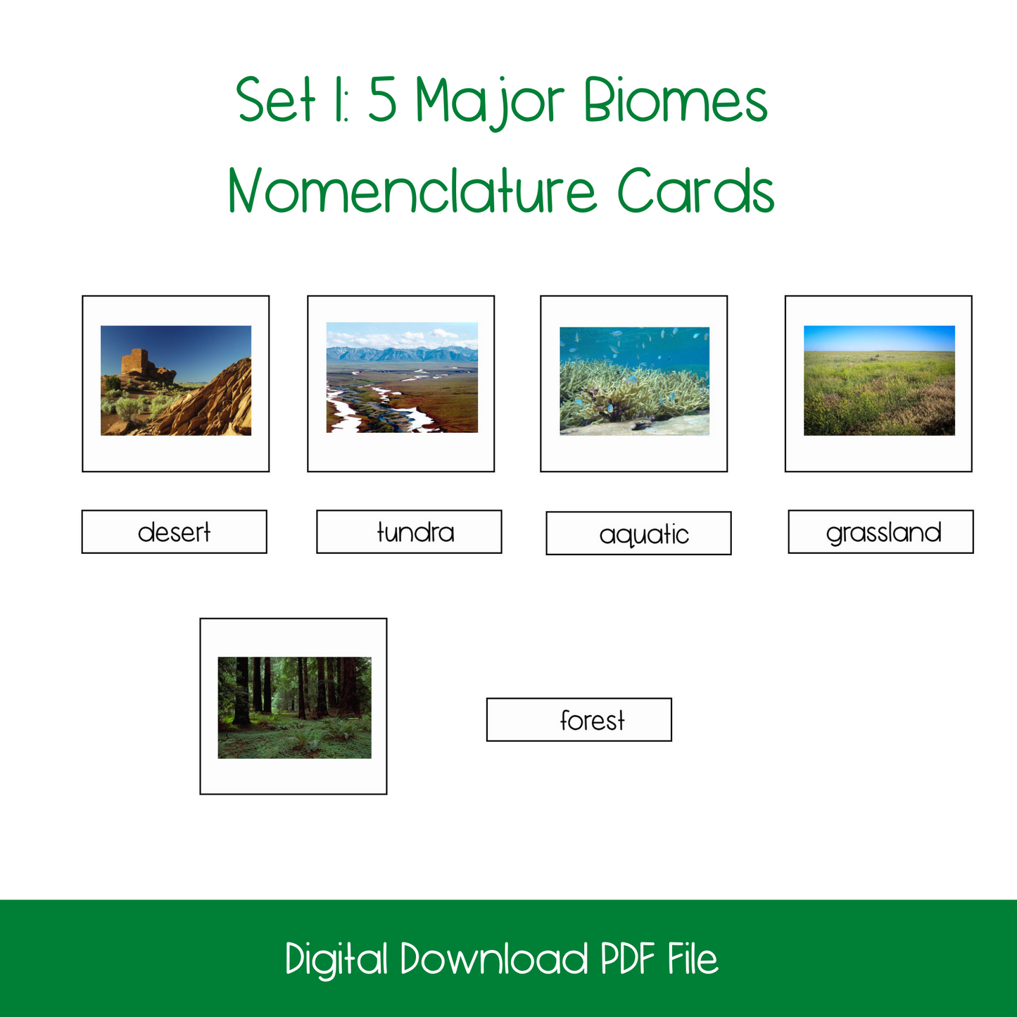 Five Major Biomes