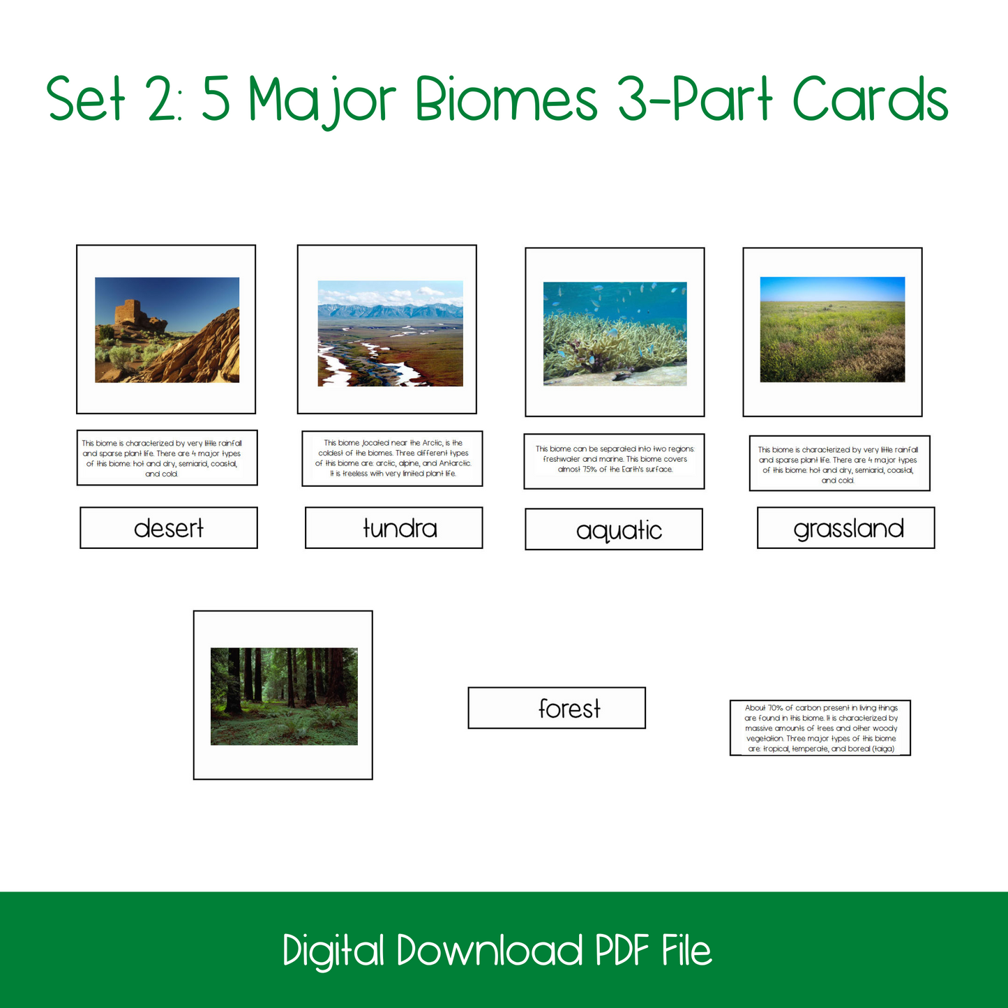 Five Major Biomes