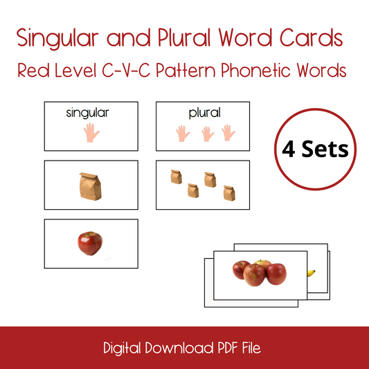 printable singular and plural activity, printable montessori grammar activity, printable montessori red level language lesson, printable kindergarten language activity, printable kindergarten homeschool pre-reading language activity