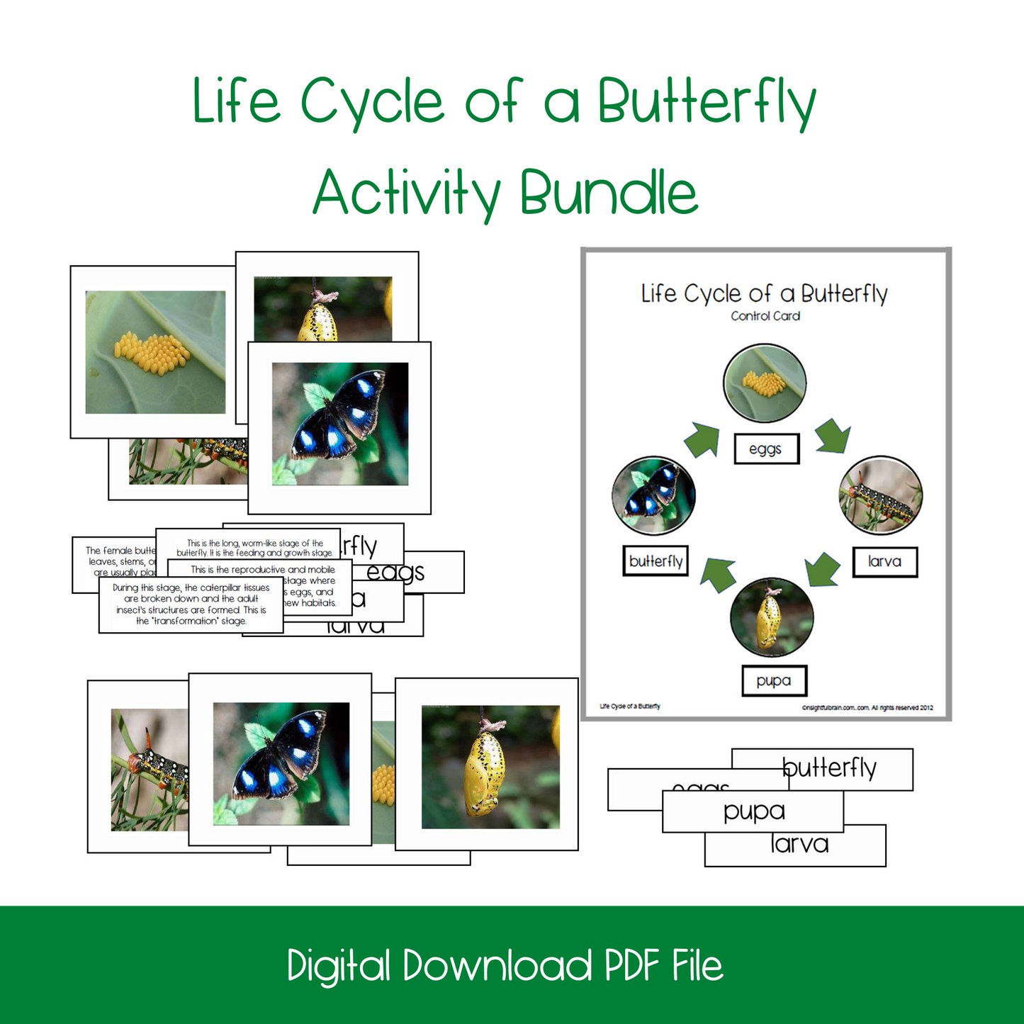 life cycle, preschool activity, homeschool preschoo,l Montessori Cards, flash cards, Montessori materials, Language cards, 3 part cards, preschool science, preschool botany, butterfly, life cycle poster, butterfly poster