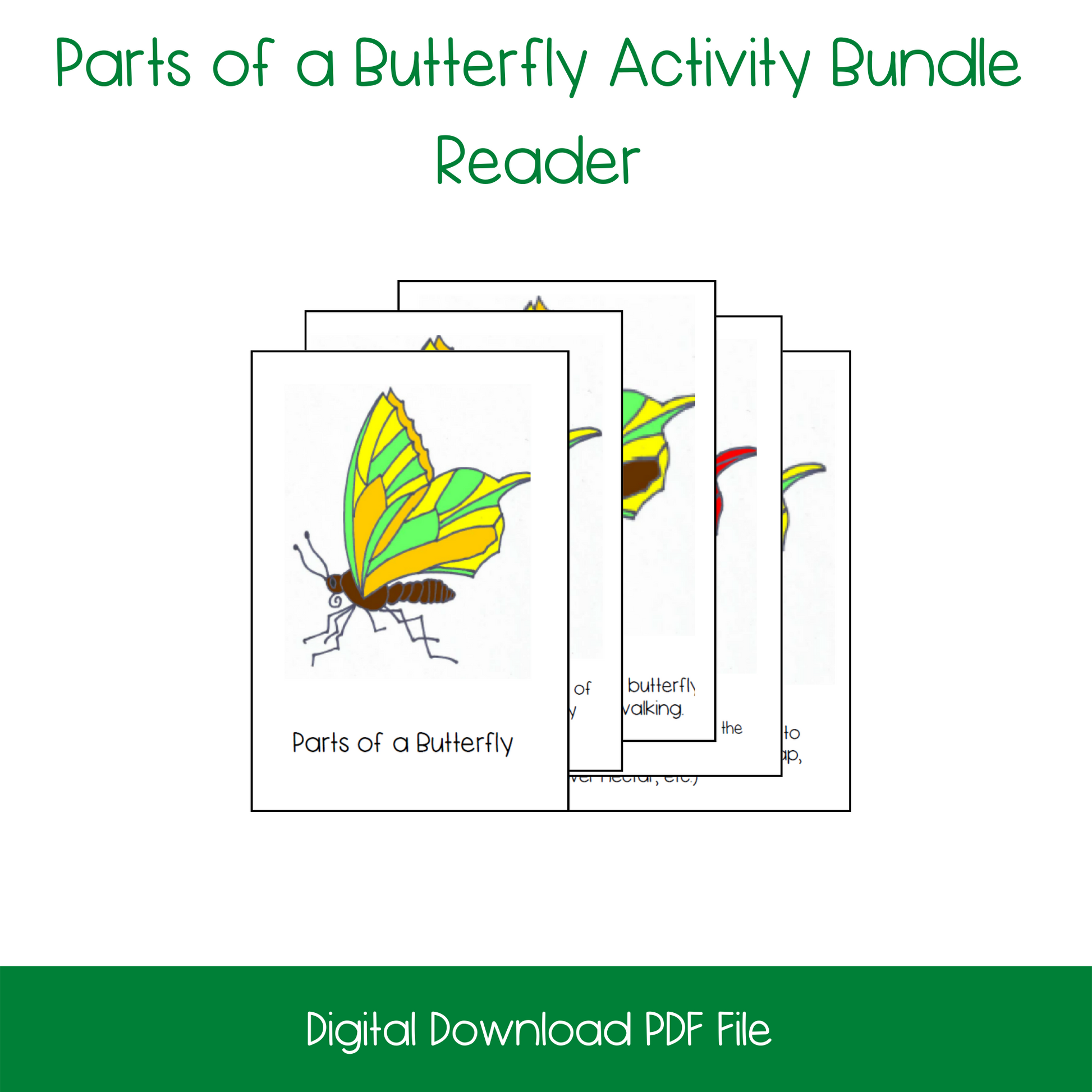 Montessori Parts of a Butterfly Nomenclature and 3-Part Cards, printable kindergarten life science activity, printable elementary life science activity, printable butterfly lesson activity