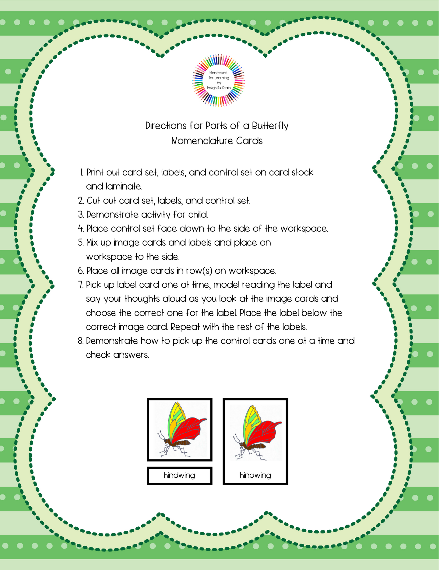 Parts of a Butterfly Activity Bundle