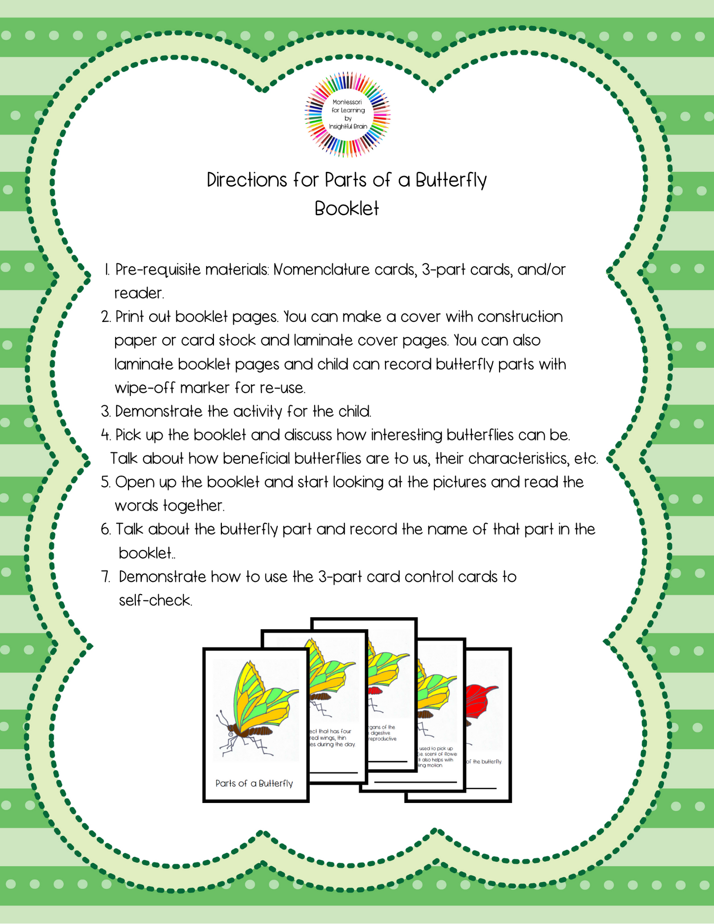 Parts of a Butterfly Activity Bundle