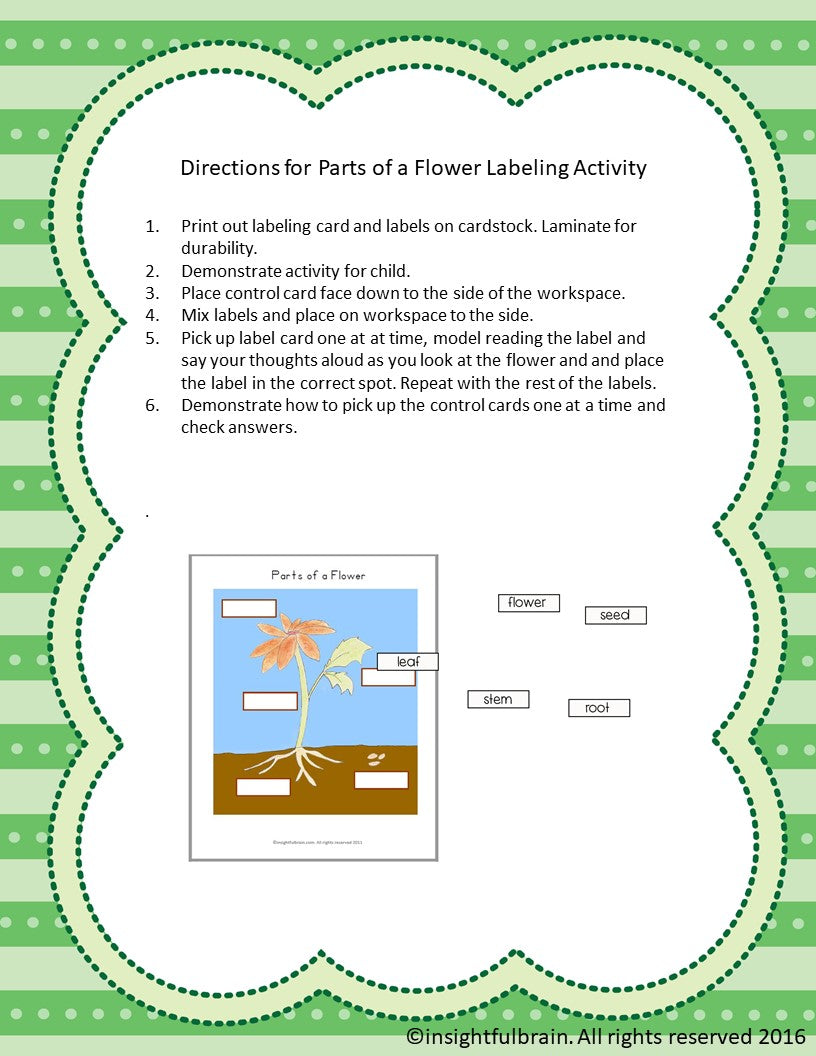 Parts of a Flower Labeling Activity