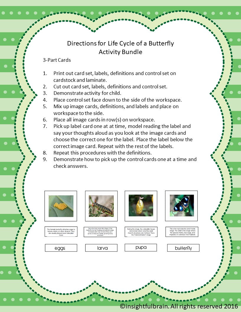 Life Cycle of a Butterfly Activity Bundle